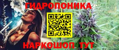 гидропоника Гагарин