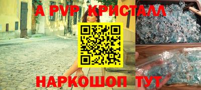 ECSTASY Гатчина