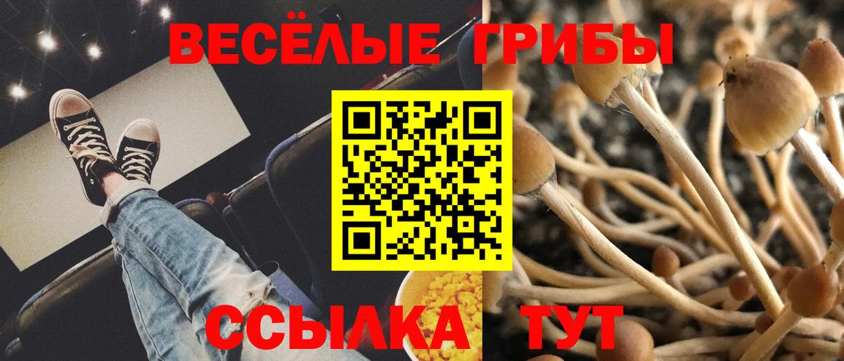 Галлюциногенные грибы MAGIC MUSHROOMS Нижний Тагил